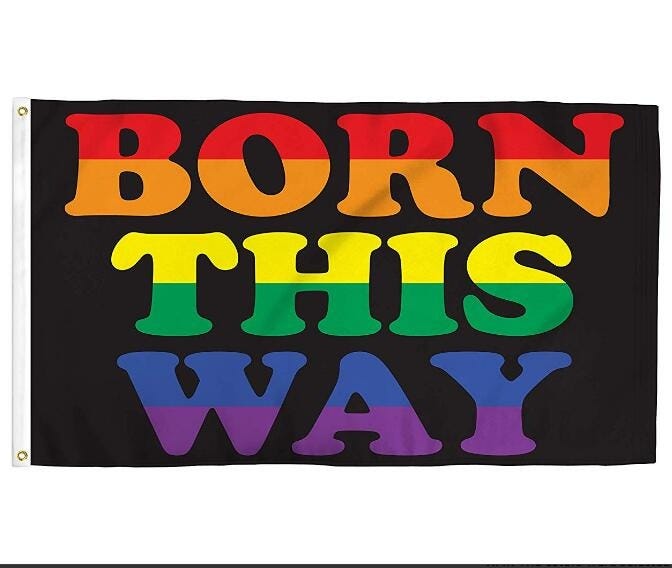 Born This Way Flagge 3x5 Fuß – Polyester, Bedruckt, Mit Metallösen