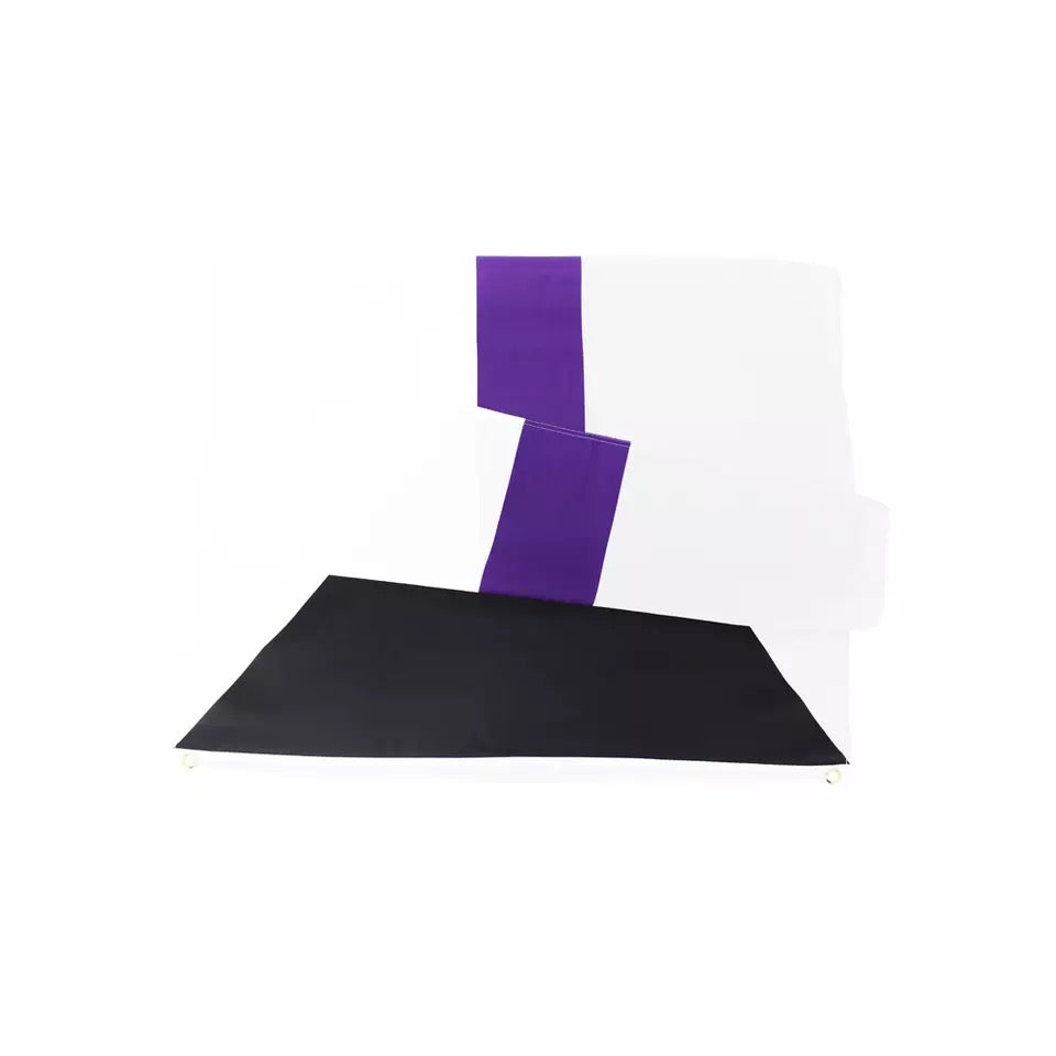 Demisexuell-Flagge 150 x 90cm