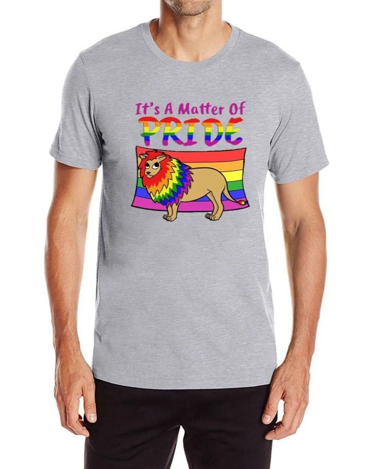 Regenbogen T-Shirt Pride Lion