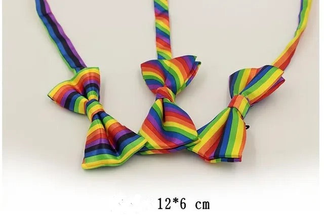Regenbogen Pride Fliegen
