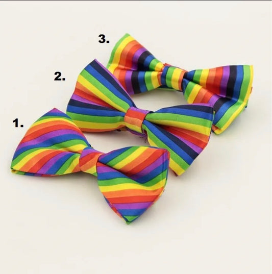 Regenbogen Pride Fliegen