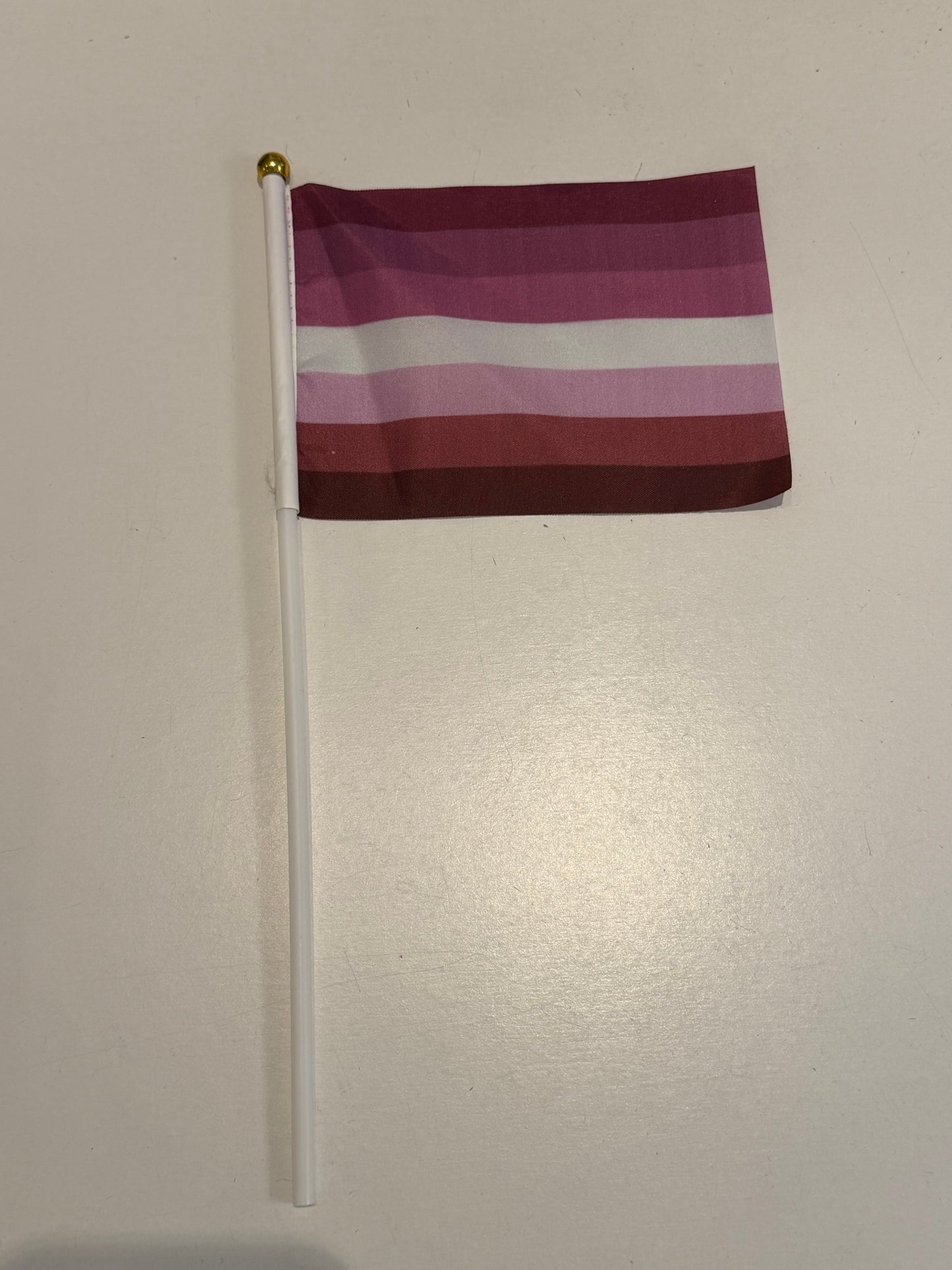 20 Hand Flaggen LGBTQ Pride
