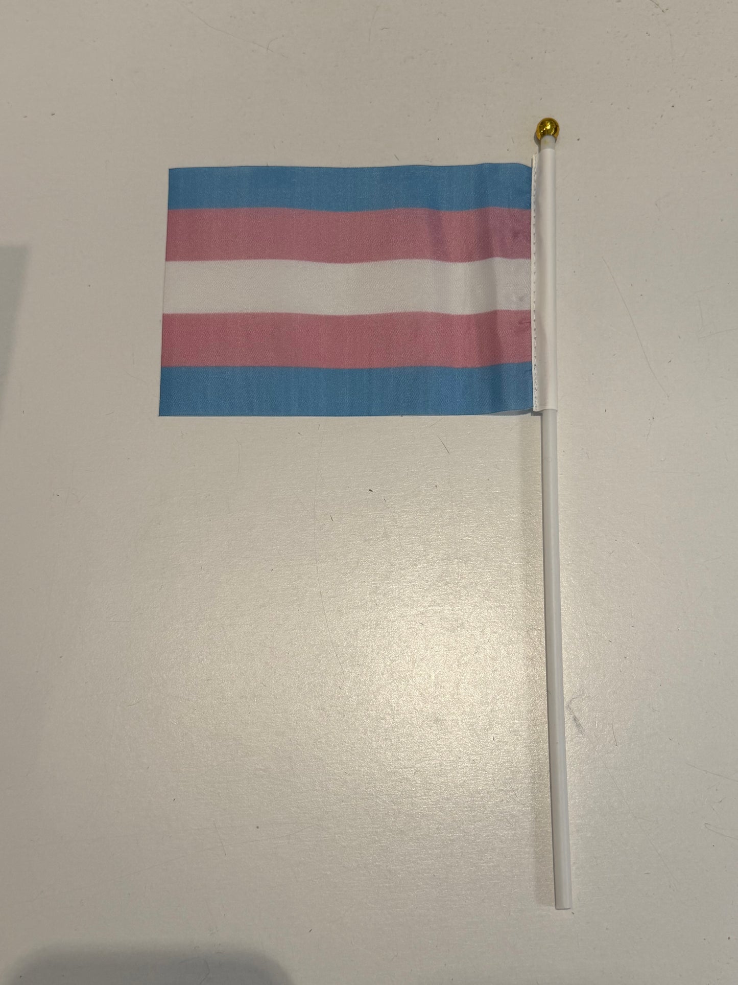20 Hand Flaggen LGBTQ Pride