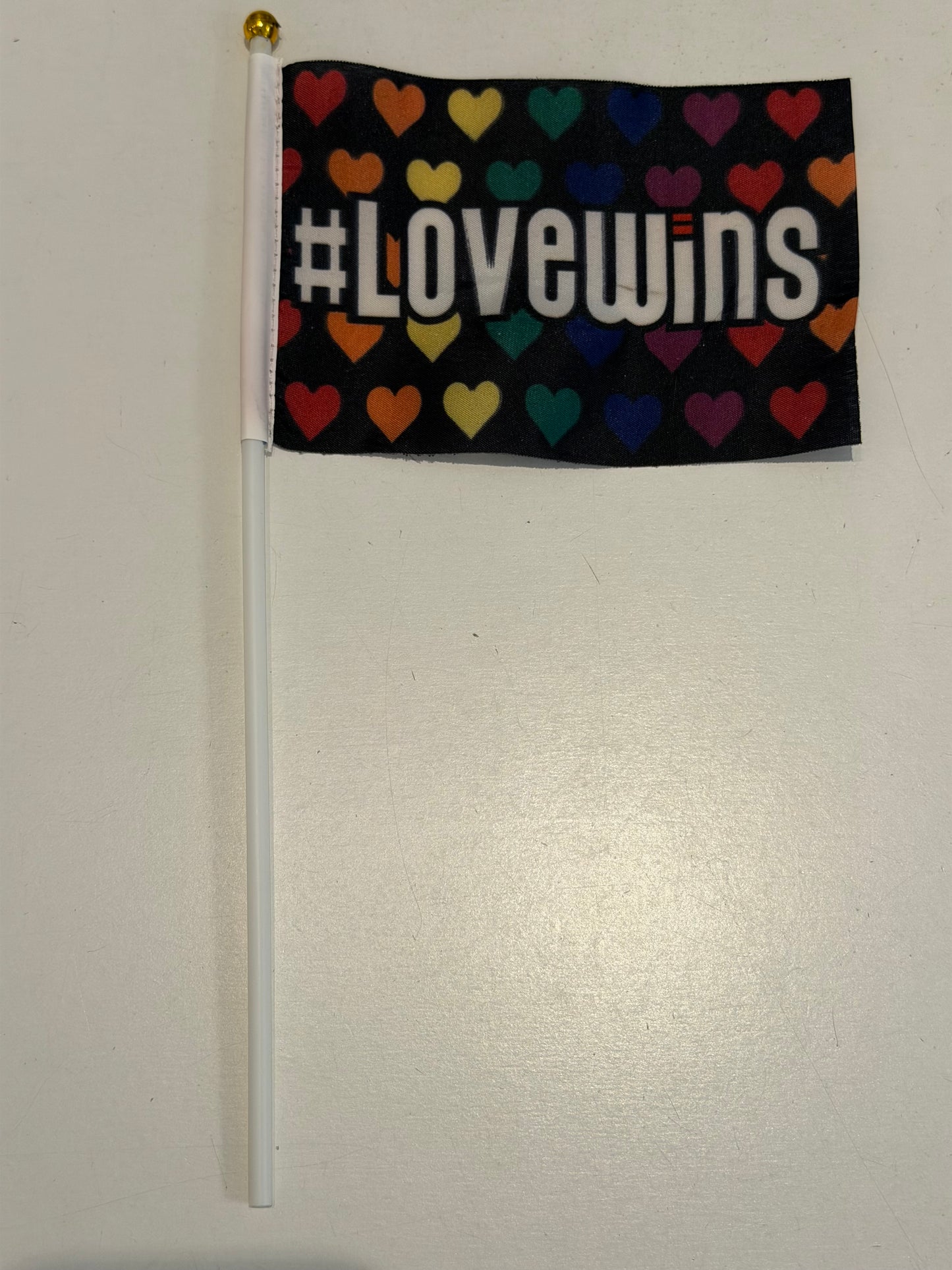 20 Hand Flaggen LGBTQ Pride