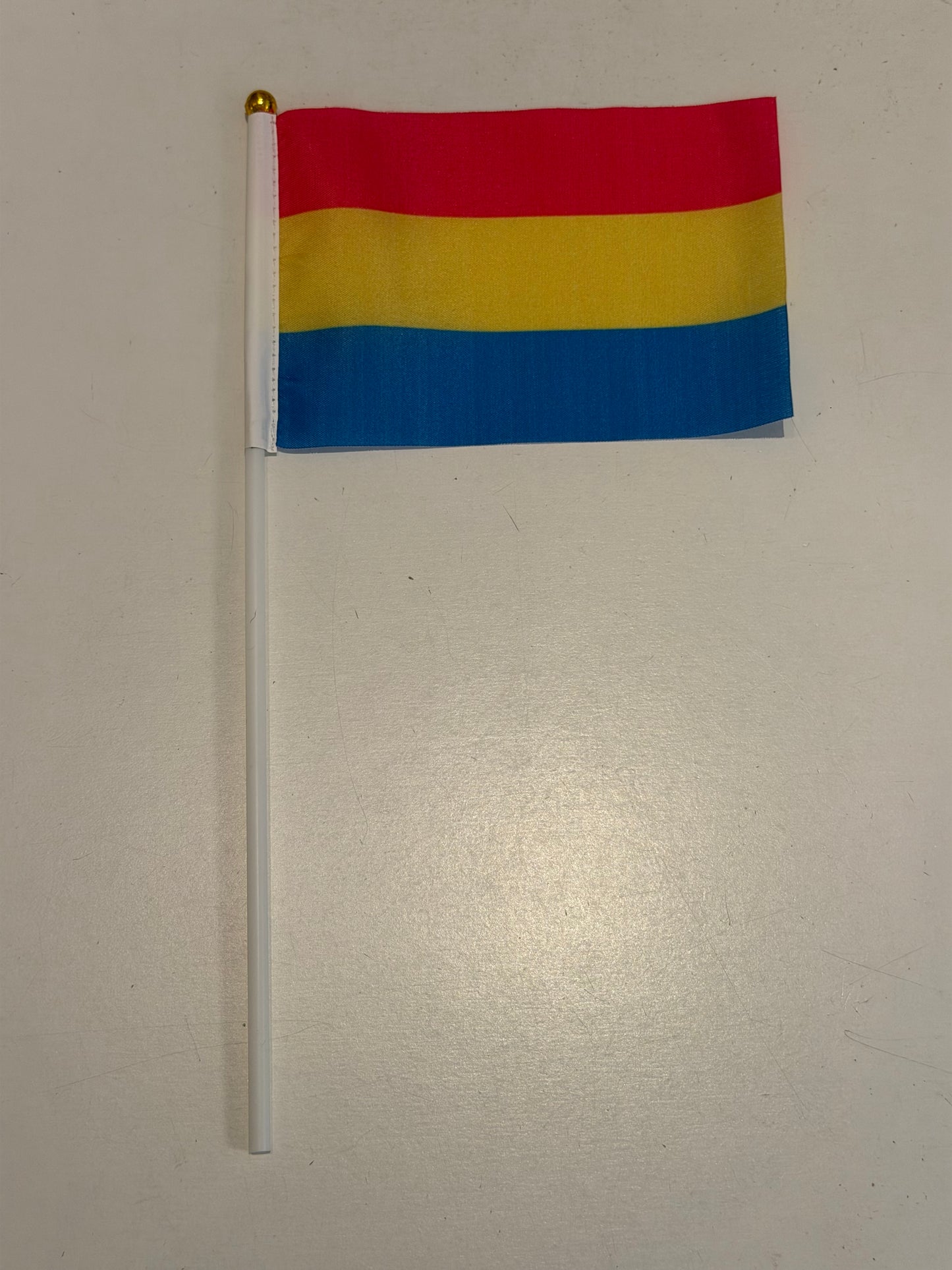 20 Hand Flaggen LGBTQ Pride