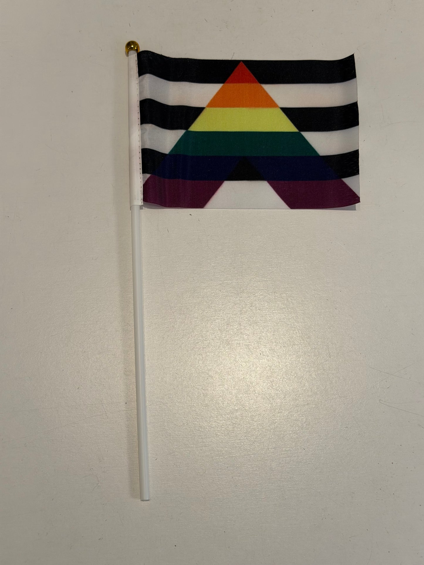 20 Hand Flaggen LGBTQ Pride