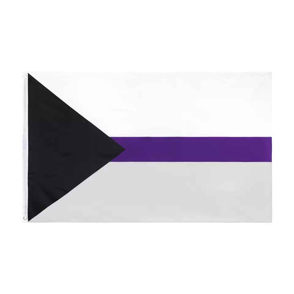 Demisexuell-Flagge 150 x 90cm
