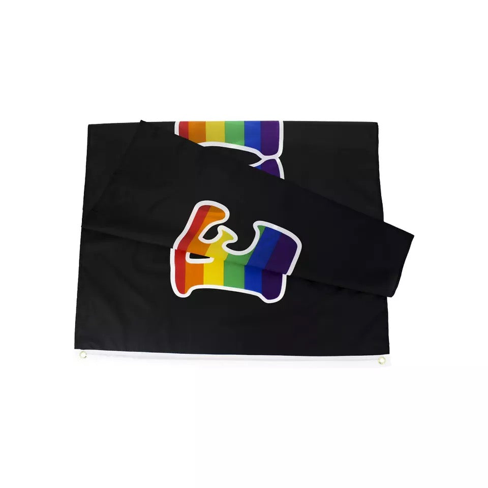 Pride Flagge 150 x 90cm